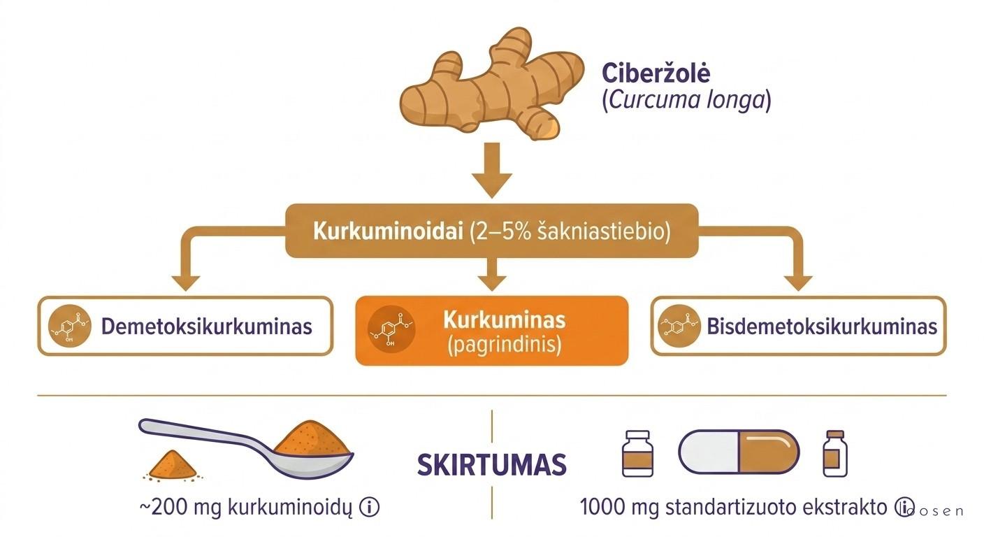 Ciberžolės nauda sveikatai: ką sako mokslas ir kaip ją vartoti teisingai Ciberžolės ir kurkumino ryšys: kurkuminoidų struktūra, kiekis šakniastiebyje ir skirtumas tarp prieskonių ir ekstrakto