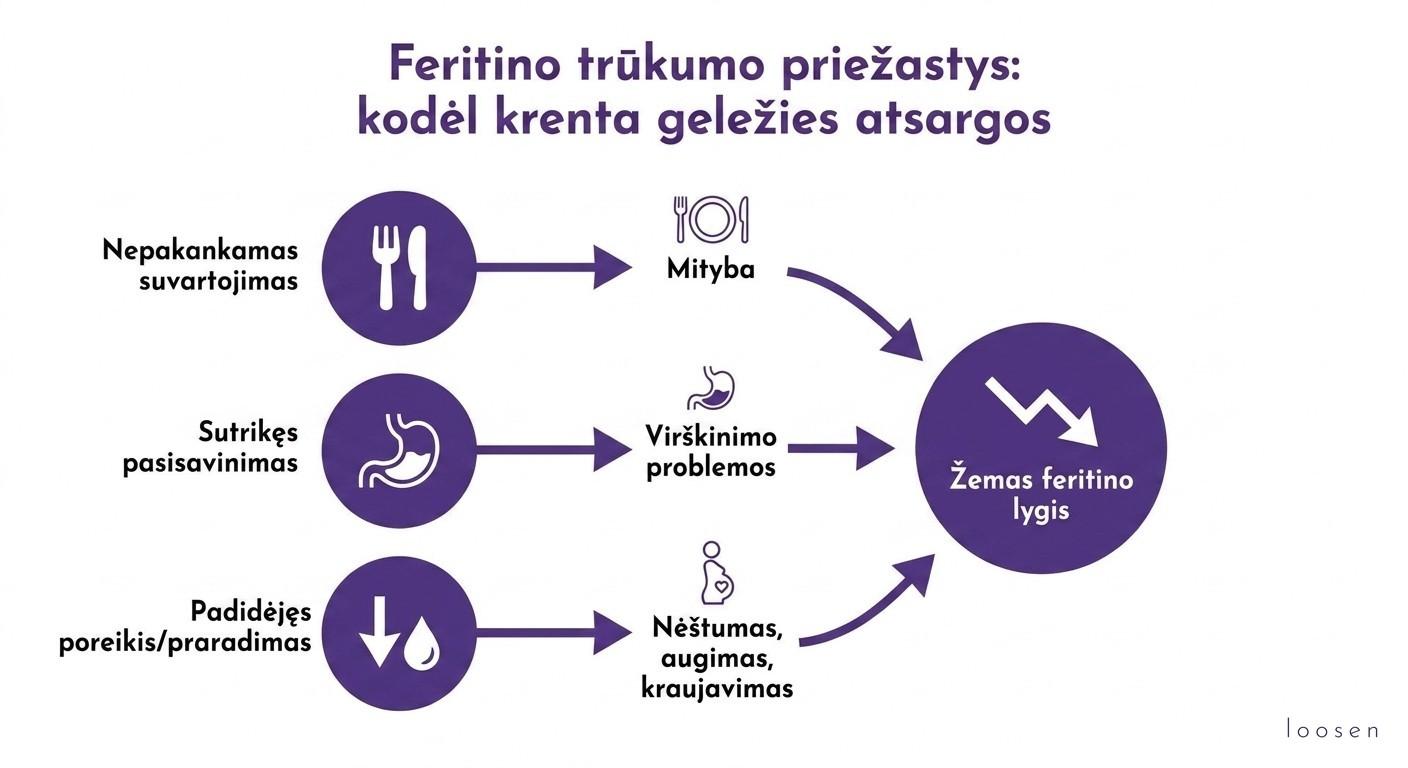 Feritino trūkumas: simptomai, priežastys, normos ir kaip jį pakelti Feritino trūkumo priežastys: kodėl krenta geležies atsargos infografikas