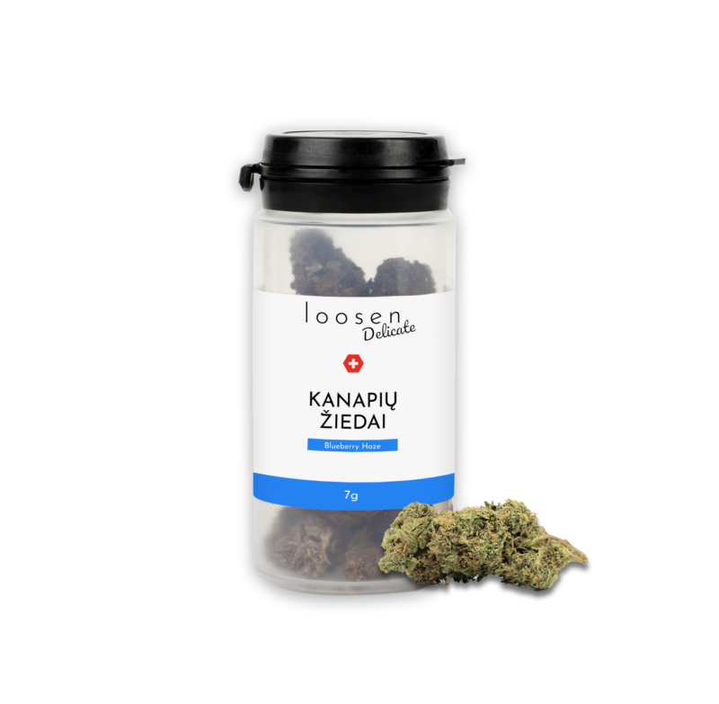 LOOSEN DELICATE BLUEBERRY HAZE hemp flowers – 10%