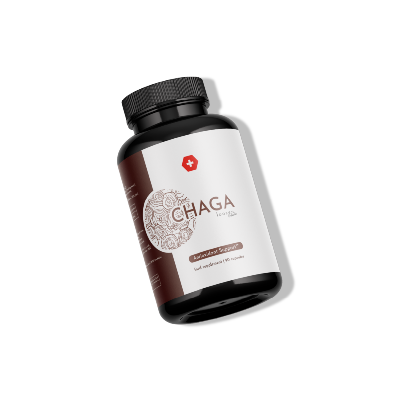 chaga grybai