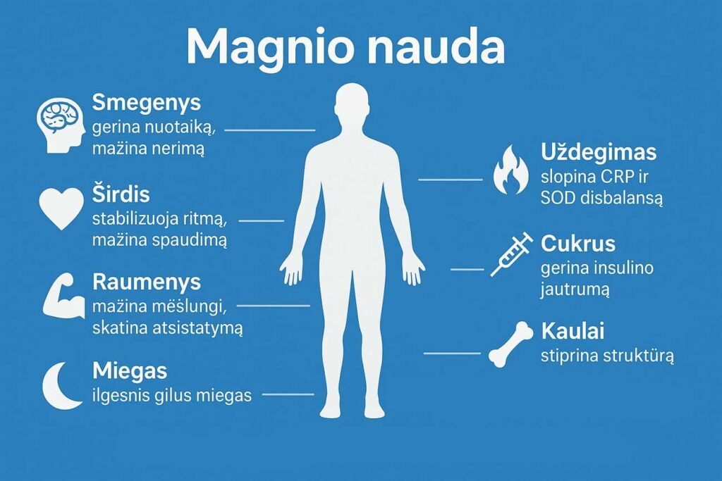 magnio nauda