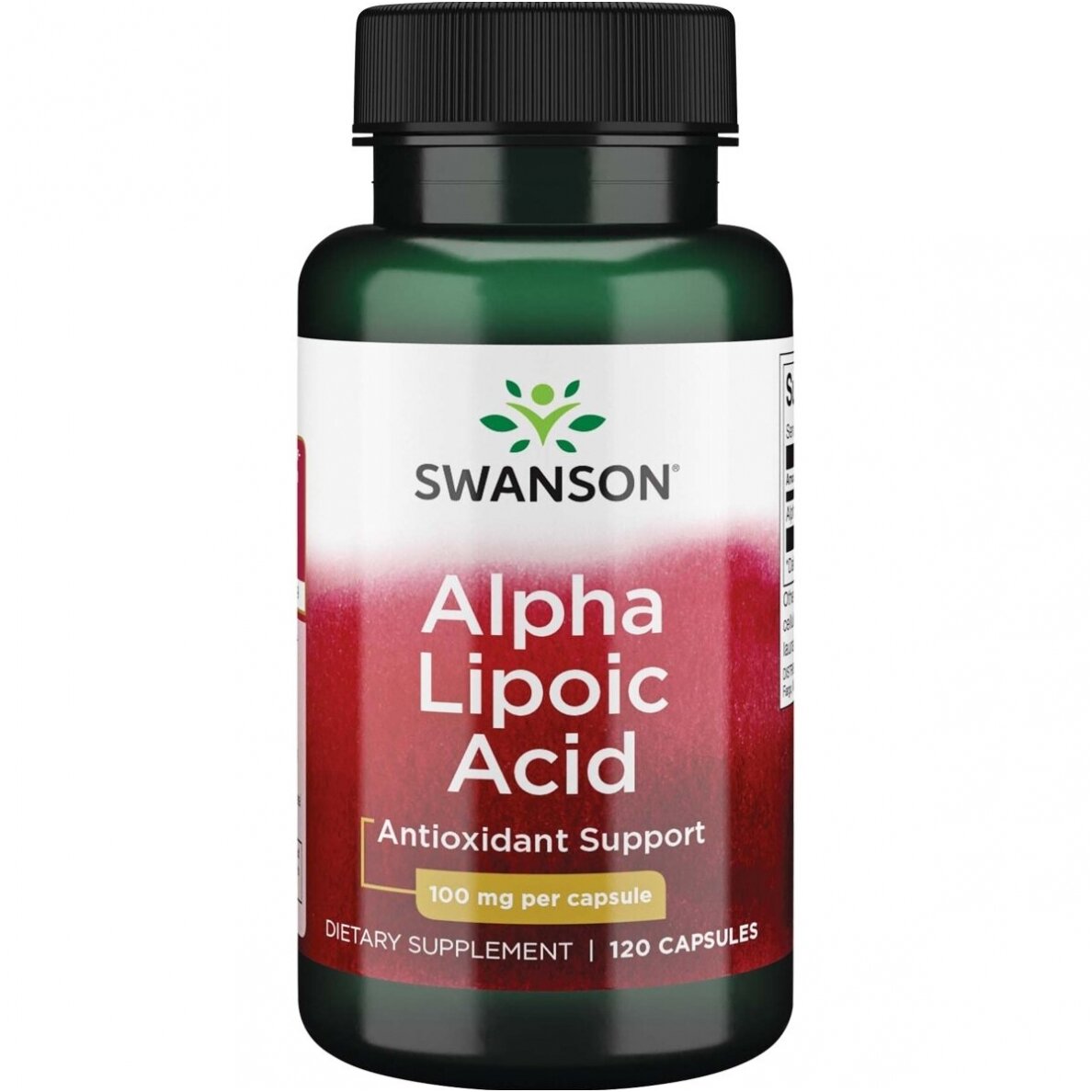 Swanson ALFA LIPOINĖ RŪGŠTIS 100 mg – 120 kapsulių Swanson ALFA LIPOINĖ RŪGŠTIS 100 mg