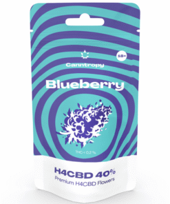 Canntropy H4CBD žiedų trio: Alien OG, Durban Poison ir Blueberry